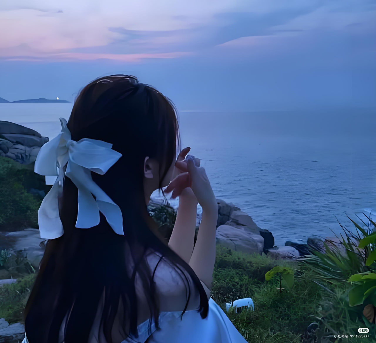 完美世界最新劇集